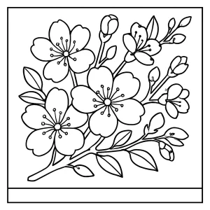 Cherry blossom coloring page with blooming flowers for free download and printing