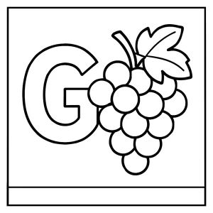 Letter G with grapes coloring page for kids to print and color